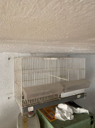 Jaula pájaros 60cm blanca-gris