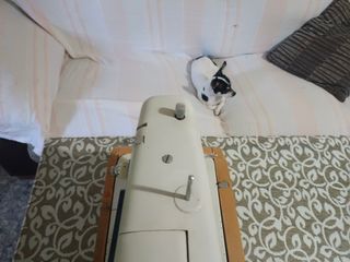 Máquina de coser Singer Antigua