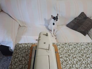 Máquina de coser Singer Antigua