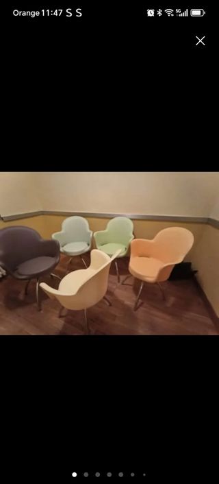 5 sillas Gogo diseño italiano