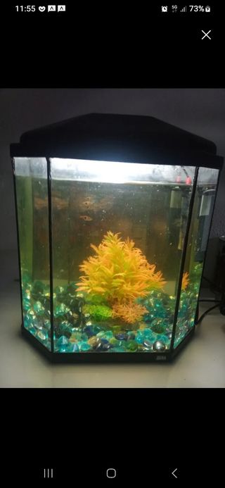 Acuario ciano 30