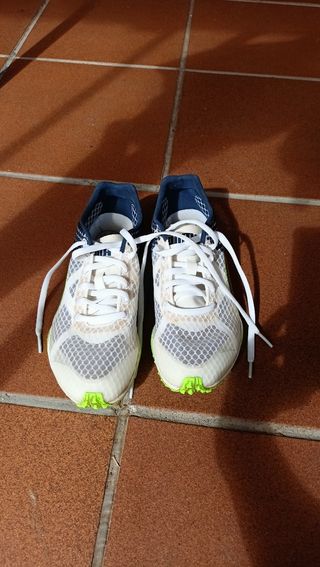 Zapatillas clavos varias tallas