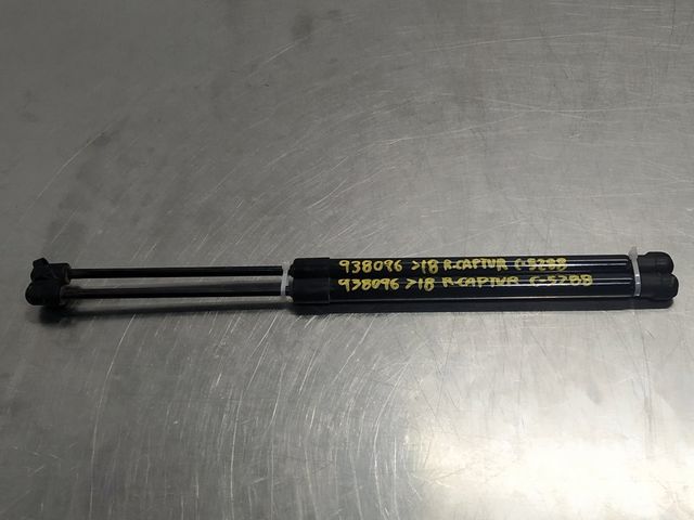 Amortiguadores portón R-Captur