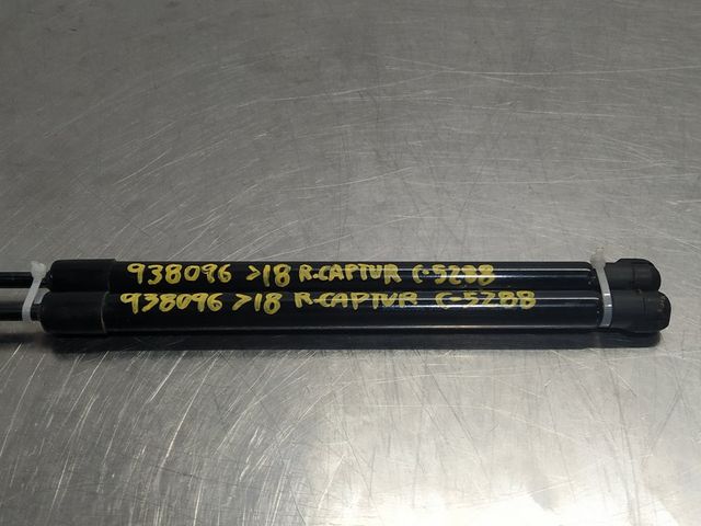 Amortiguadores portón R-Captur