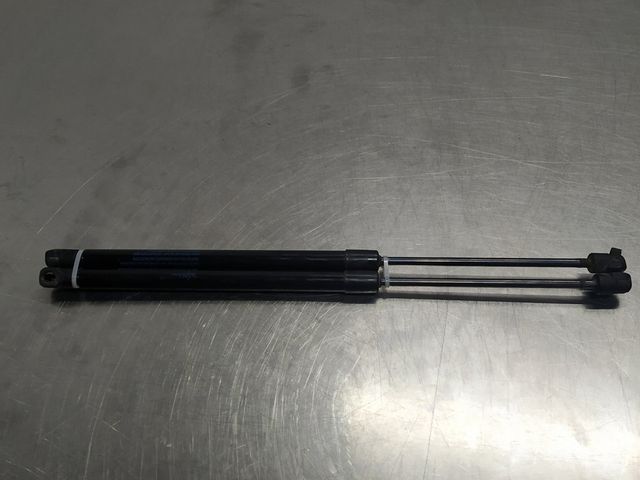 Amortiguadores portón R-Captur