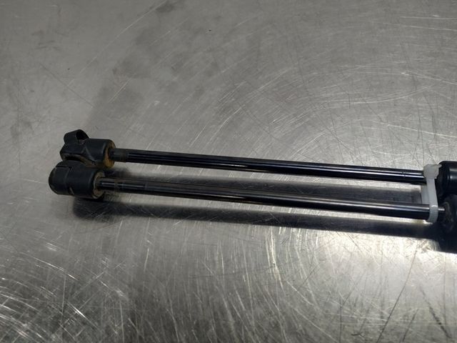 Amortiguadores portón R-Captur