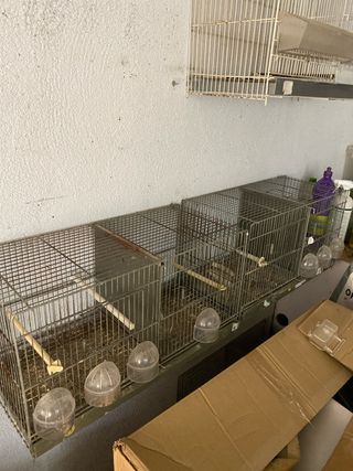 vendo 2 jaulas de cría de 60cm