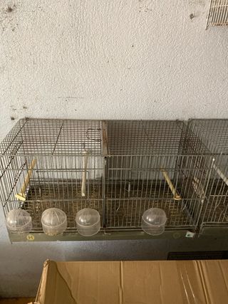 vendo 2 jaulas de cría de 60cm