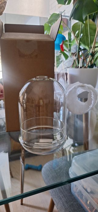 Terrario cúpula cristal de H&M Home
