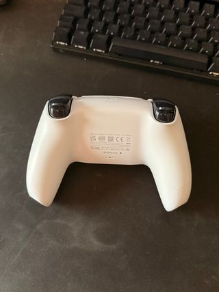 PS5 (PlayStation 5) Controller