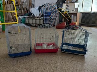 Jaulas pájaros - muchas medidas y modelos