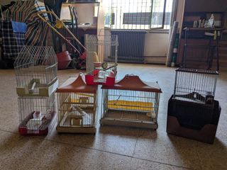 Jaulas pájaros - muchas medidas y modelos