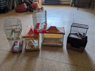 Jaulas pájaros - muchas medidas y modelos