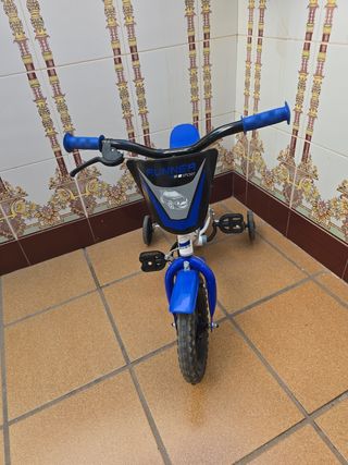 Bicicleta niño 2-4 años