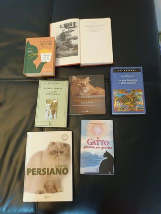 7 libri sui gatti (e non solo)