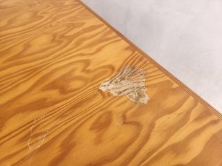 Mesa Comedor Pino y 4 Sillas