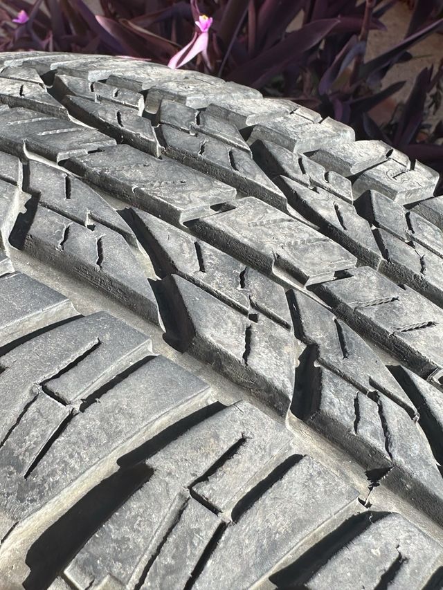 5 Ruedas: Llantas + neumáticos 265/70-16