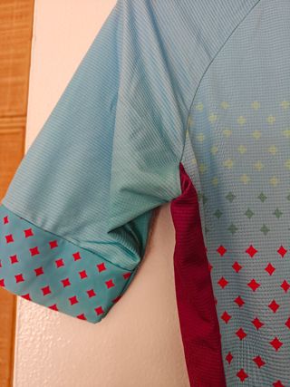 Maillot ciclismo Gobik CX Pro talla S