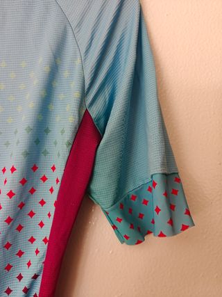 Maillot ciclismo Gobik CX Pro talla S