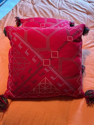 Cuscini rossi decorativi