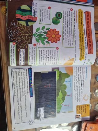 Cambridge Natural Science Level 3 Pupil's Book ...