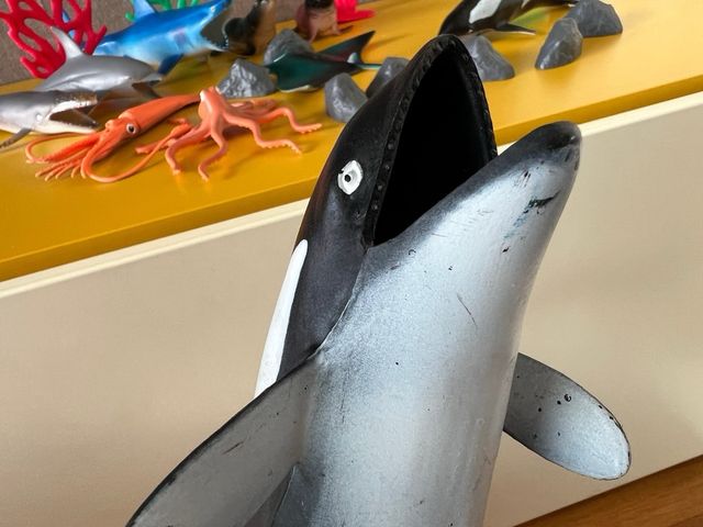 Animales marinos National Geographic (10 piezas)