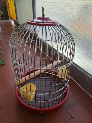 Jaula pajaros metalica roja