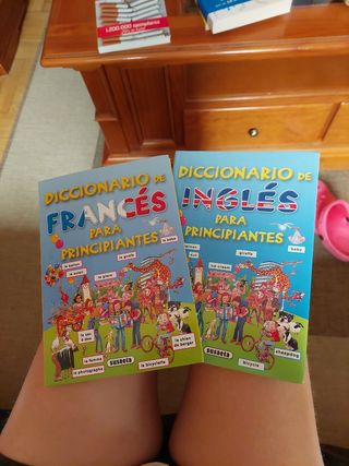 Diccionario de francés para principiantes