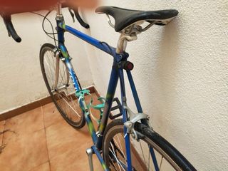 Bicicleta carretera Zeus talla Adulto