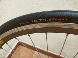 Bicicleta carretera Zeus talla Adulto