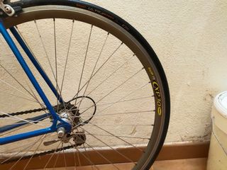 Bicicleta carretera Zeus talla Adulto
