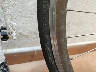 Bicicleta carretera Zeus talla Adulto