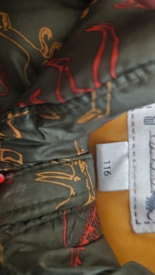 Chaqueta niño dinosaurios
Chaqueta borreguillo int