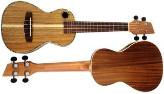 Clases de guitarra (clásica o moderna) y ukelele