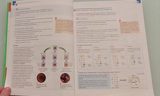 BIOLOGIA Y GEOLOGIA 1º BACHILLERATO Edelvives 2015