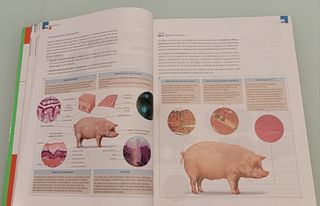 BIOLOGIA Y GEOLOGIA 1º BACHILLERATO Edelvives 2015