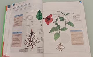 BIOLOGIA Y GEOLOGIA 1º BACHILLERATO Edelvives 2015