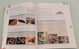 BIOLOGIA Y GEOLOGIA 1º BACHILLERATO Edelvives 2015