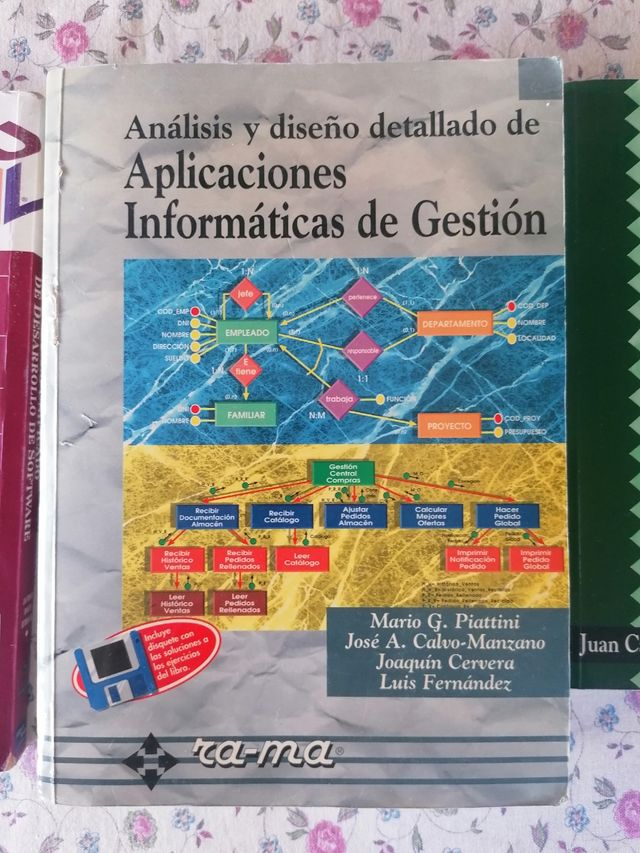 Lote Libros de informática