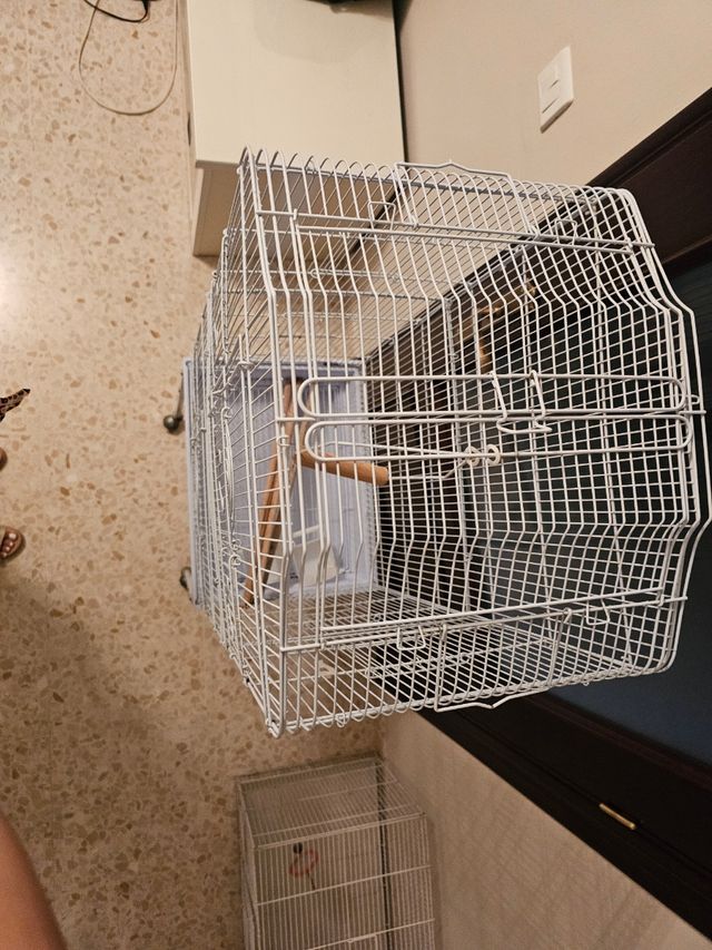 Jaula pajaros blanca con ruedas