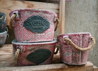Vaso Terracotta Pianta Grassa Manici Corda 