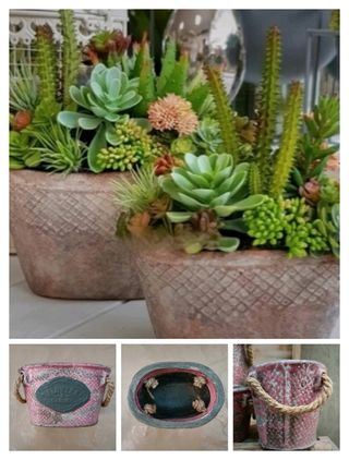 Vaso Terracotta Pianta Grassa Manici Corda 