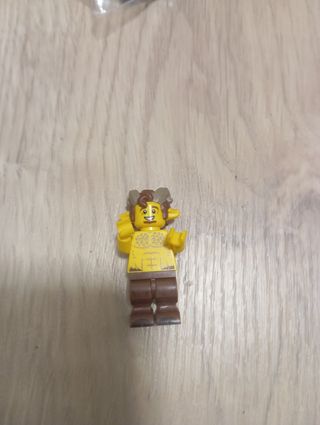 Minifiguras Lego Serie 15 (5)