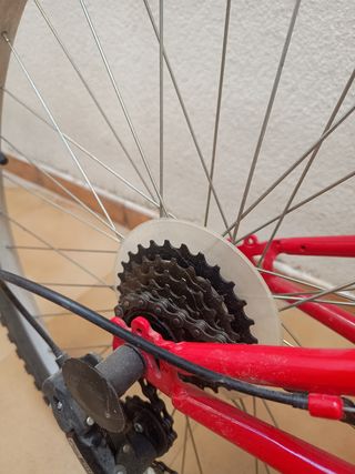 Bicicleta Active Trail montaña