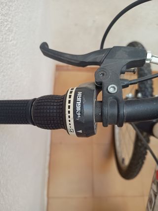 Bicicleta Active Trail montaña