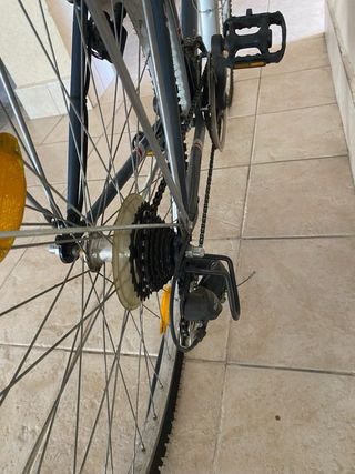 Bicicleta Fischer