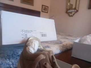 Scarpe Geox Beige Uomo