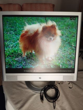 Monitor HP 19" con altavoces, incorporado