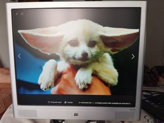Monitor HP 19" con altavoces, incorporado