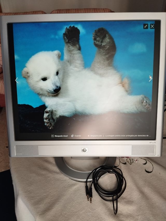 Monitor HP 19" con altavoces, incorporado